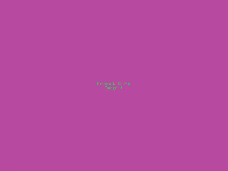 Example Product 2765