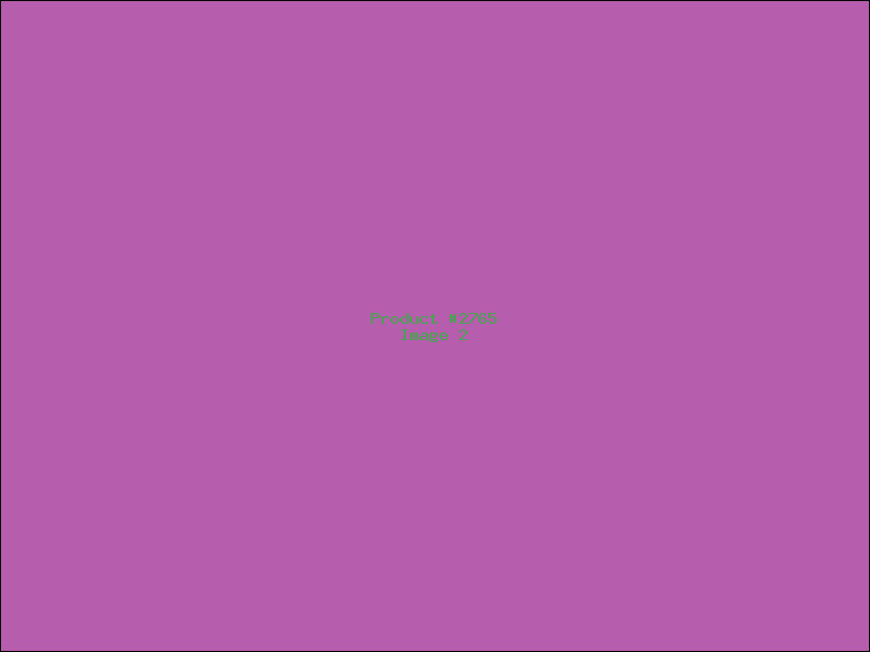 Example Product 2765 - Image 2