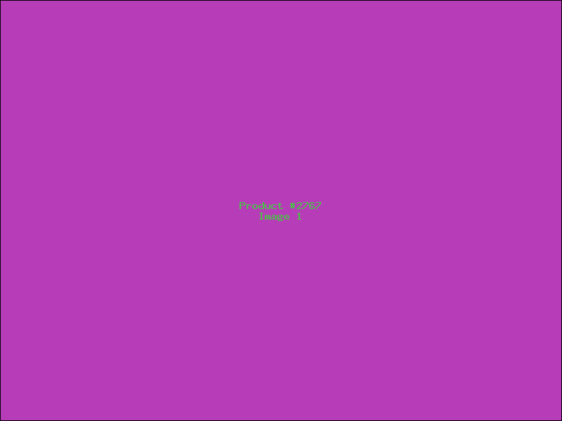 Example Product 2767