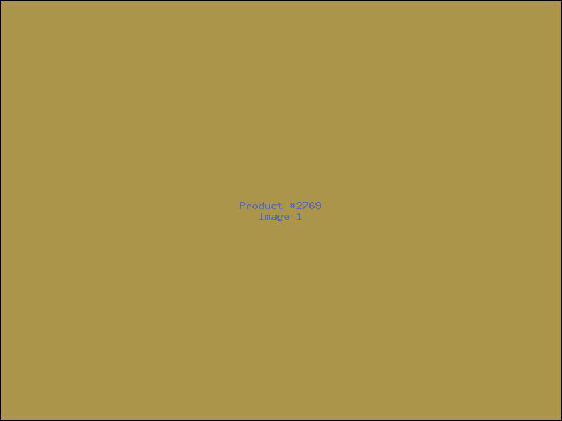 Example Product 2769