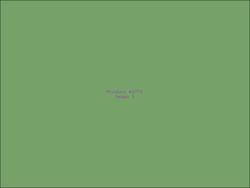 Example Product 2771