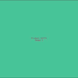 Example Product 2774
