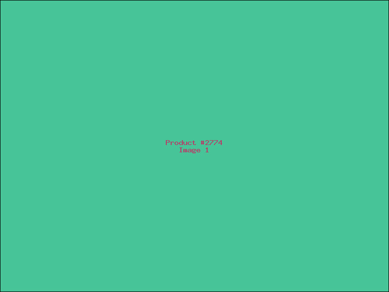 Example Product 2774
