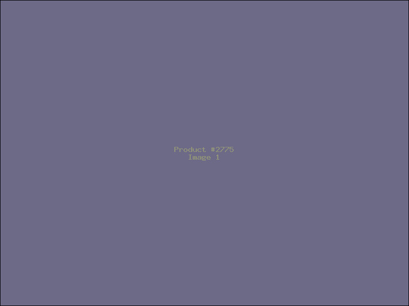 Example Product 2775