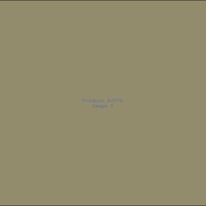 Example Product 2776