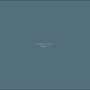 Example Product 2777