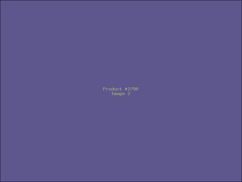 Example Product 2798 - Image 2