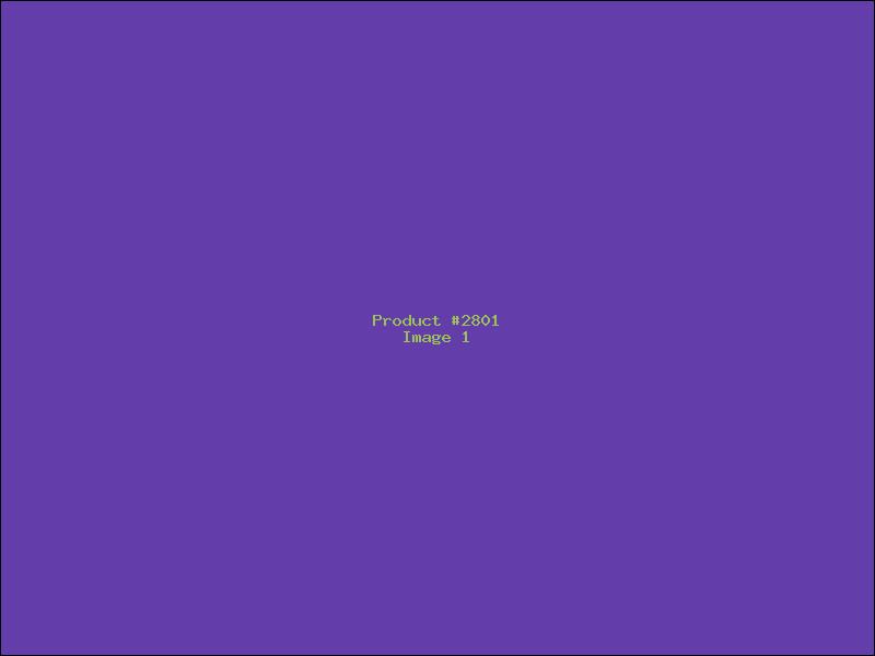 Example Product 2801
