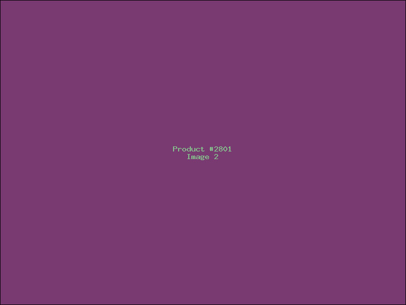 Example Product 2801 - Image 2