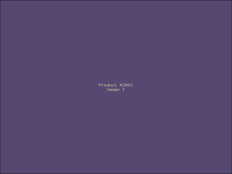Example Product 2802