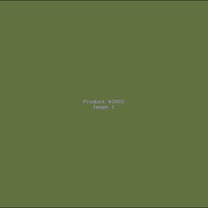 Example Product 2803