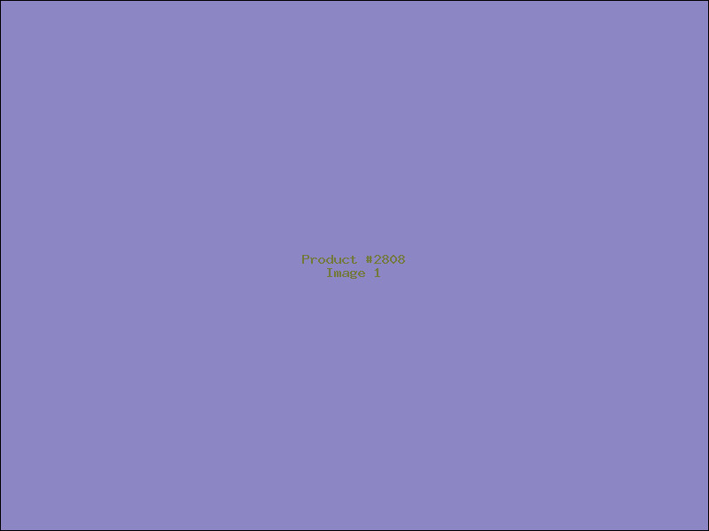 Example Product 2808
