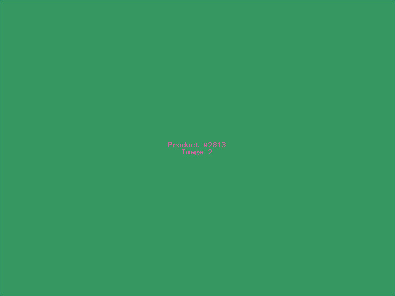 Example Product 2813 - Image 2