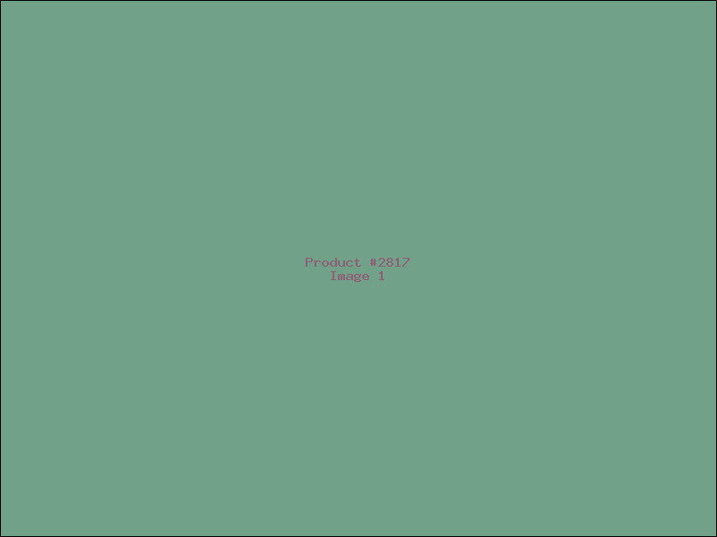 Example Product 2817