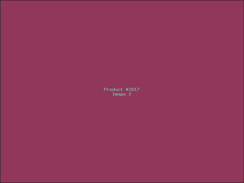 Example Product 2817 - Image 2