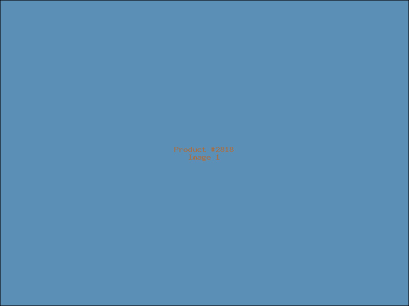Example Product 2818
