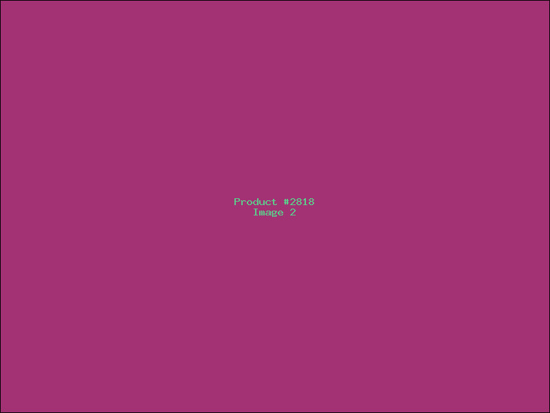 Example Product 2818 - Image 2