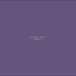 Example Product 2822