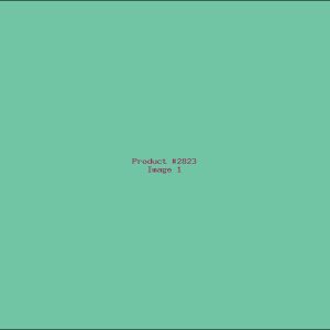 Example Product 2823