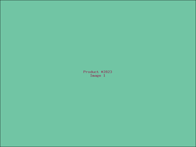 Example Product 2823