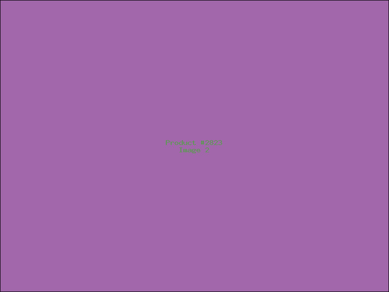 Example Product 2823 - Image 2