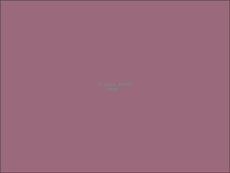 Example Product 2825