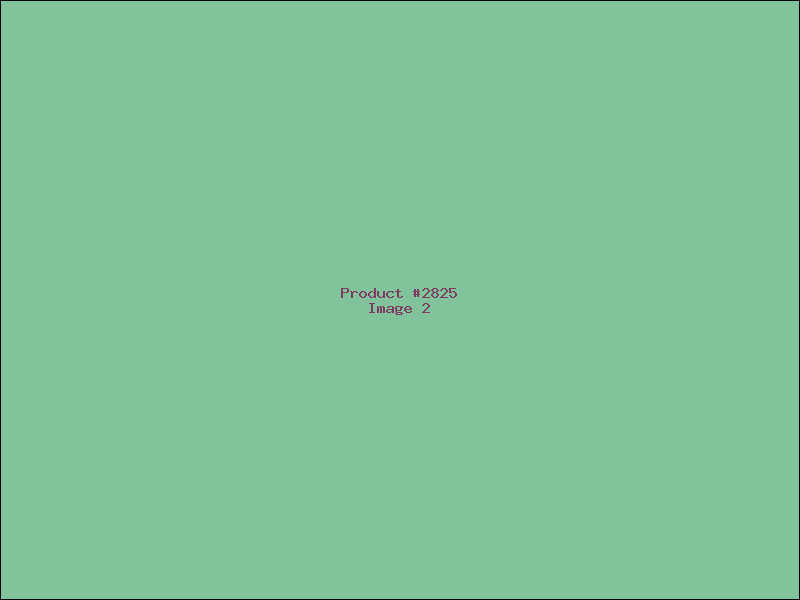 Example Product 2825 - Image 2