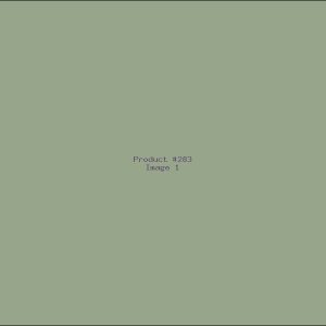 Example Product 283