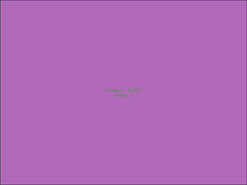 Example Product 2831