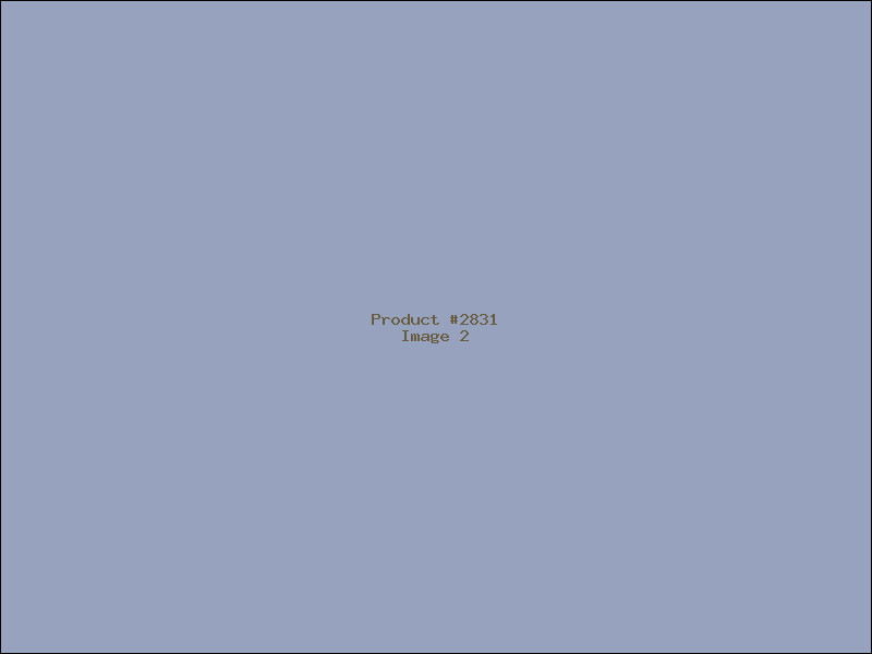 Example Product 2831 - Image 2