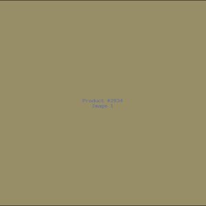 Example Product 2834