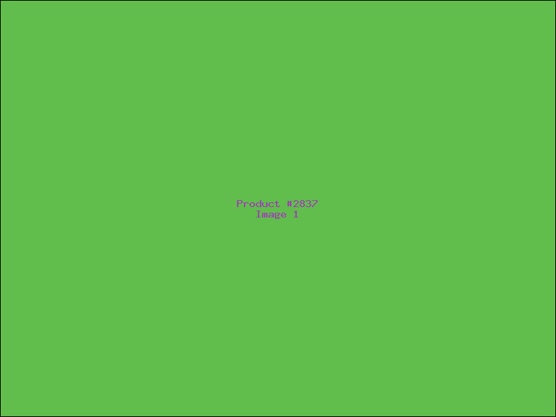 Example Product 2837