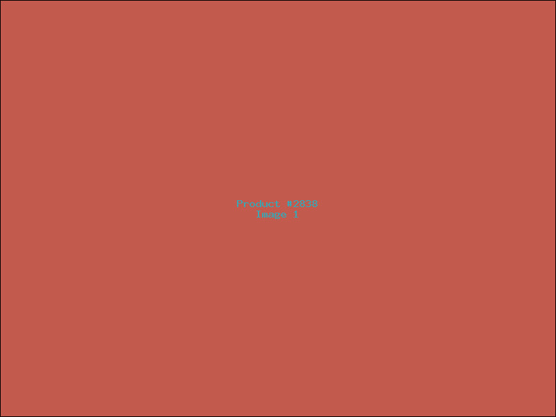 Example Product 2838
