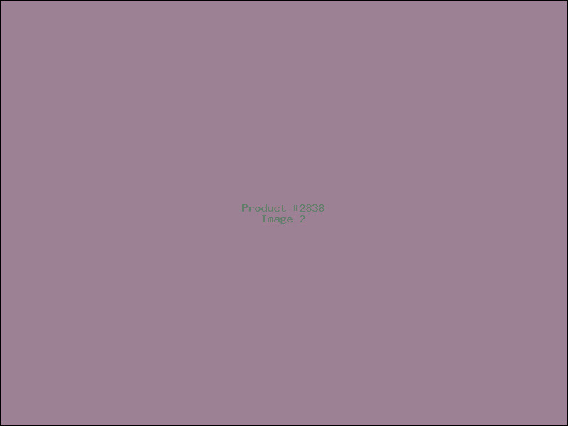 Example Product 2838 - Image 2