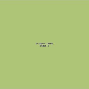 Example Product 2843