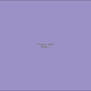 Example Product 285