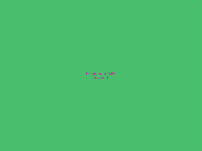 Example Product 2850