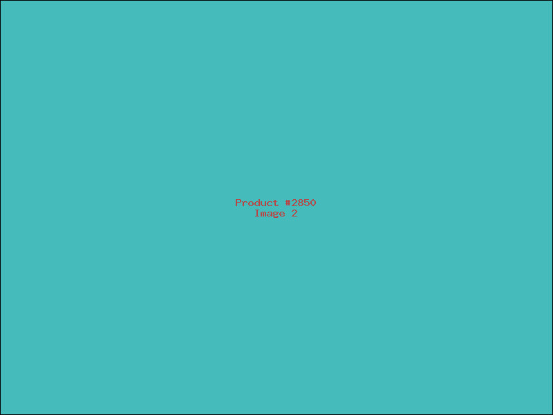 Example Product 2850 - Image 2