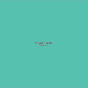 Example Product 2851