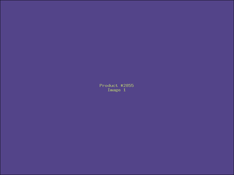Example Product 2855