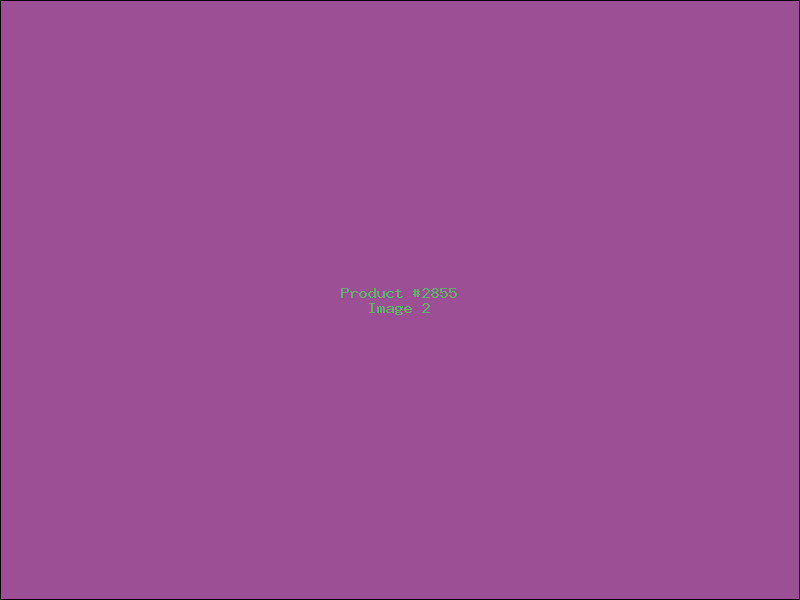 Example Product 2855 - Image 2
