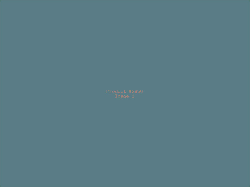 Example Product 2856