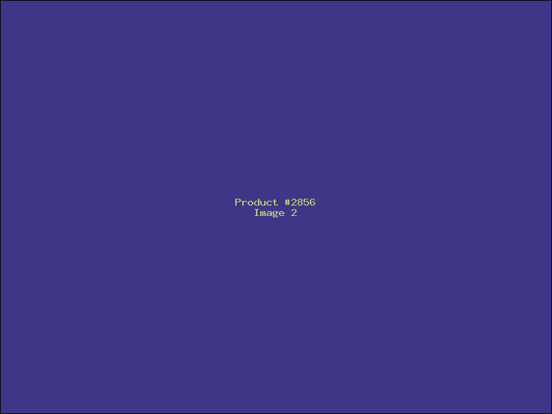 Example Product 2856 - Image 2