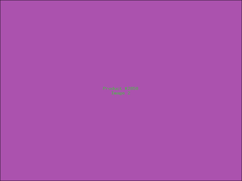 Example Product 2858 - Image 2