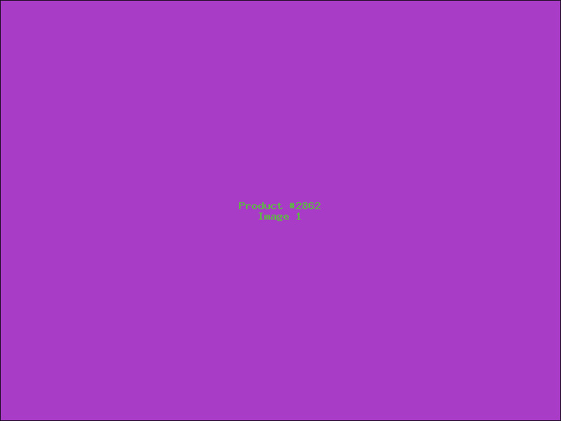 Example Product 2862