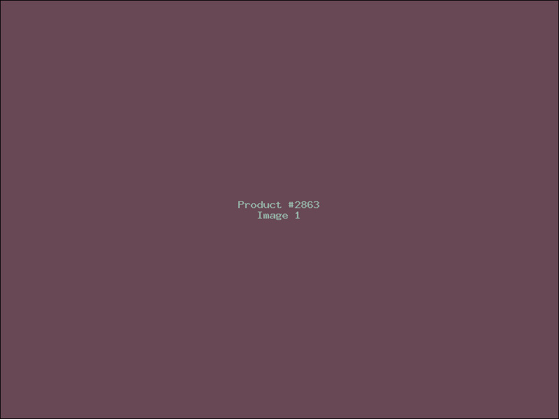 Example Product 2863