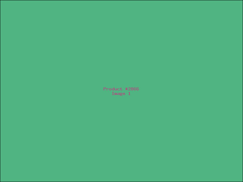 Example Product 2866