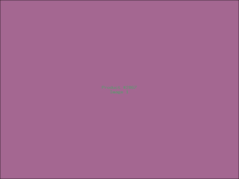 Example Product 2867