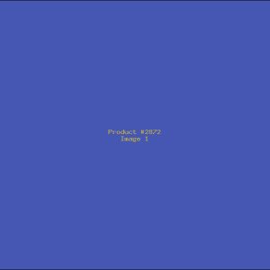 Example Product 2872
