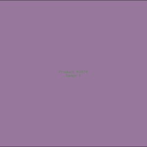 Example Product 2874